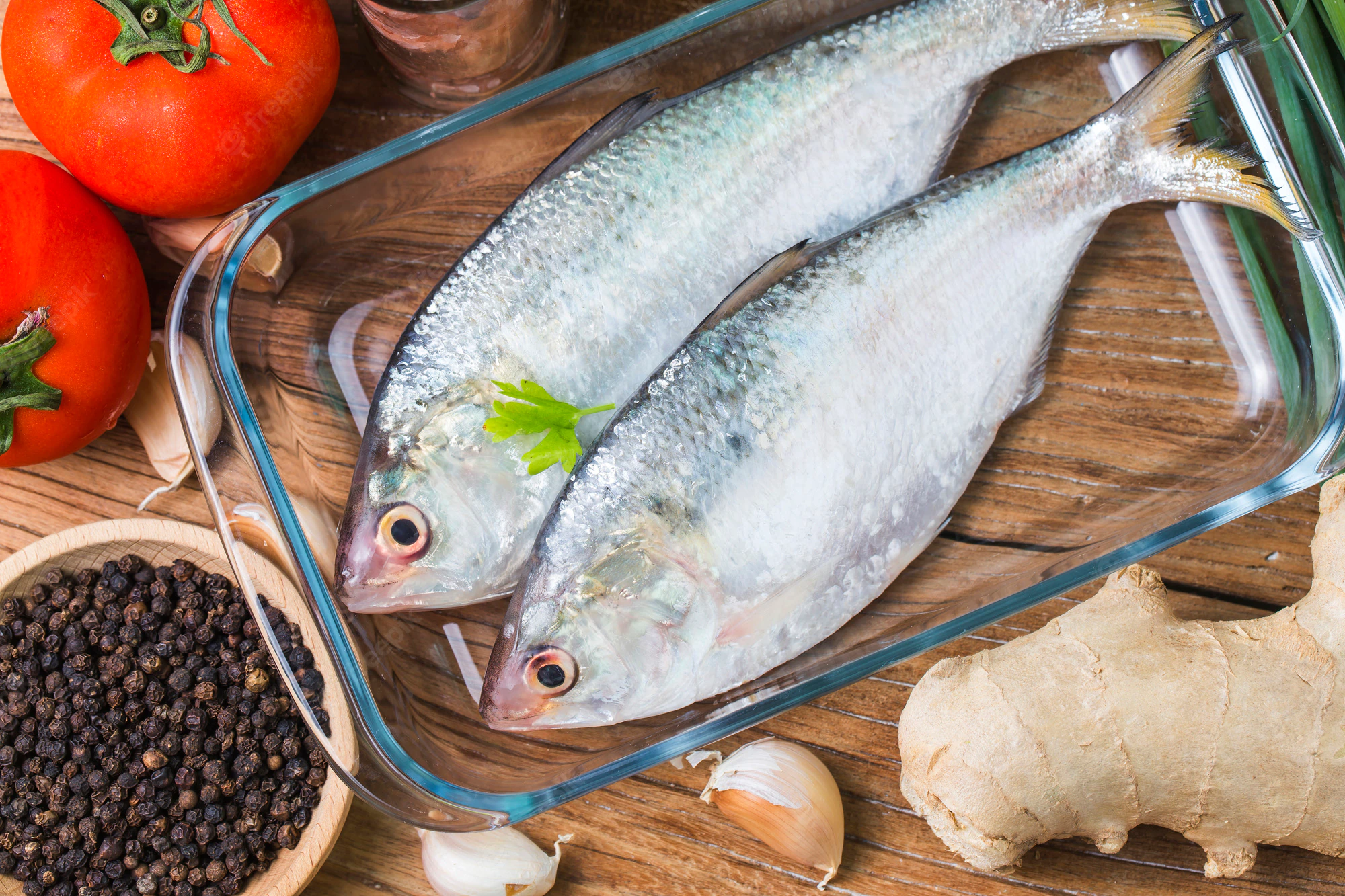 freshwater fish vs saltwater fish nutrition