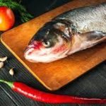 raw fish vs cooked fish nutrition