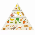 institute for integrative nutrition pyramid scheme