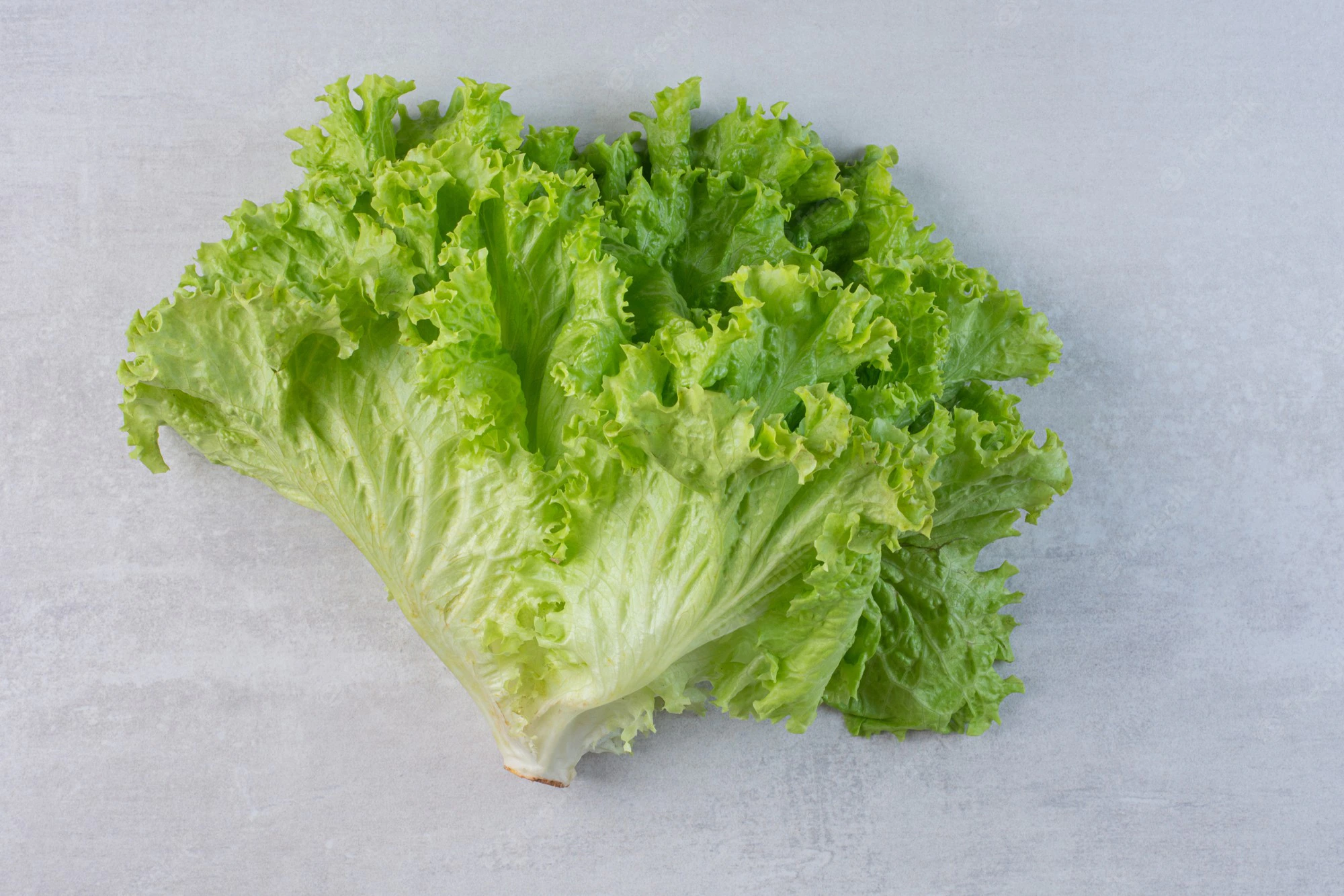 does lettuce have nutritional value