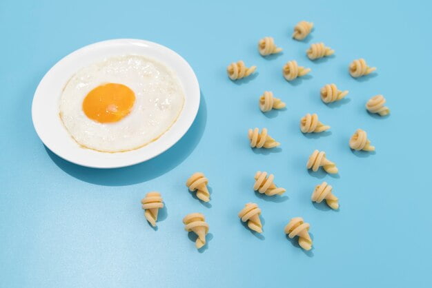 Egg White Bites Nutrition Unveiling The Power Packed Snack Fueling 
